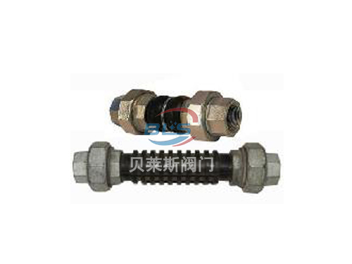 �z�����z���^